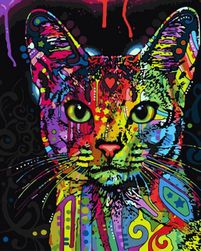 Malování podle čísel - pestrobarevná kočka