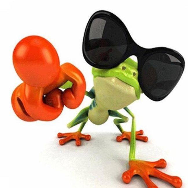 Vtipná 3D nálepka s motivem žabáka - různé motivy 1