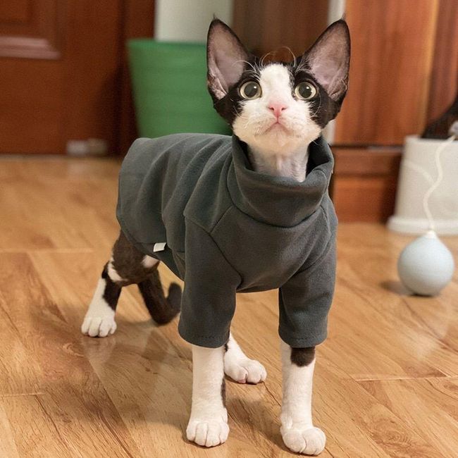 Oblekica za mačke Kiena 1