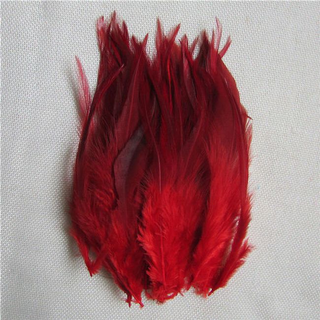 Dekorativno perje 50 kosov / 10-15- cm - različne barve 1