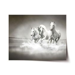 Plakat SABLIO - Beli konji VY_cz5520 ZO_ST06162