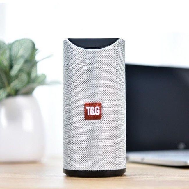 Portable wireless speaker TG113 1