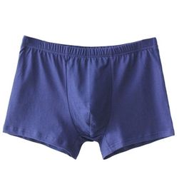 Men's underwear Pieter