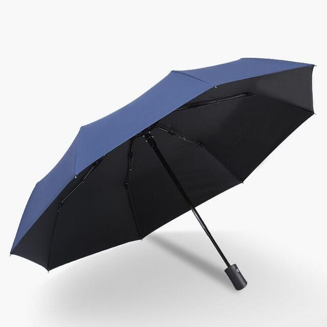 Umbrella Harlan 1