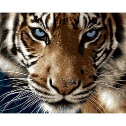 DIY obraz - pohled tygra