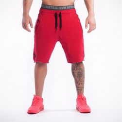 Muške kratke hlače za sport i slobodno vrijeme - 7 boja