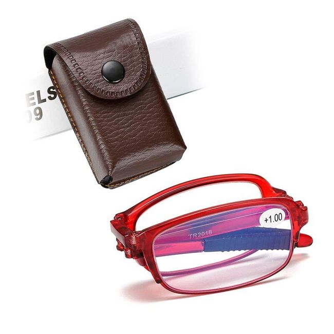 Reading glasses with a case Darcy 1