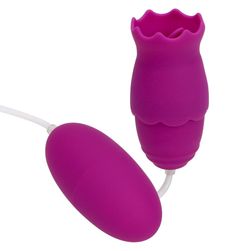 Ou vibrator cu controler DM58