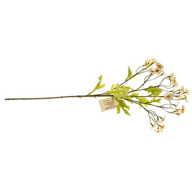 Šopek 30 mini rožic (18 x premer 2,5 cm, 12 x premer 2 cm), višina 53 cm - beli ZO_XDHIP000035 1