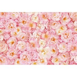 Studio photo background PB327