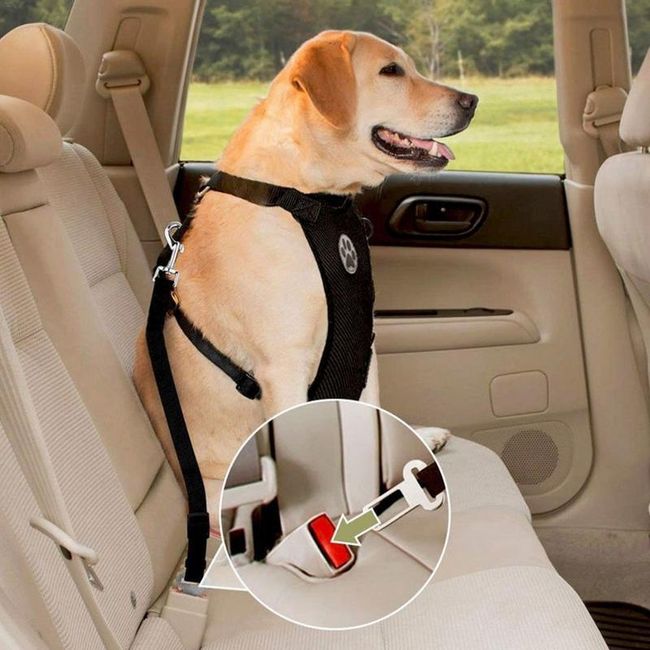 Предпазен колан за кучета в автомобила BPPP457 1