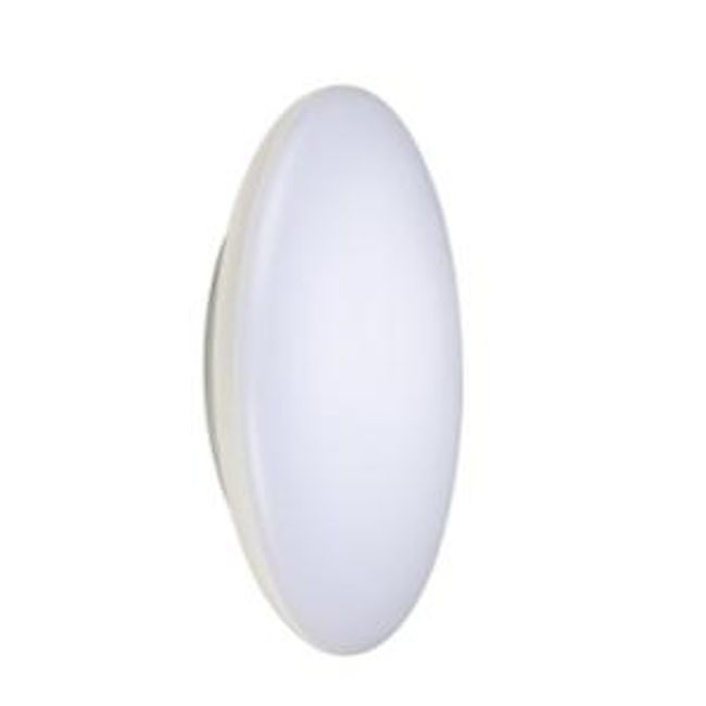 Lampa ścienna LED Ricky 25cm E - 75 044 91 ZO_7504491 1