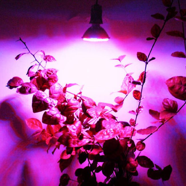 Stimulující žárovka pro rostliny - 80 LED světýlek 1