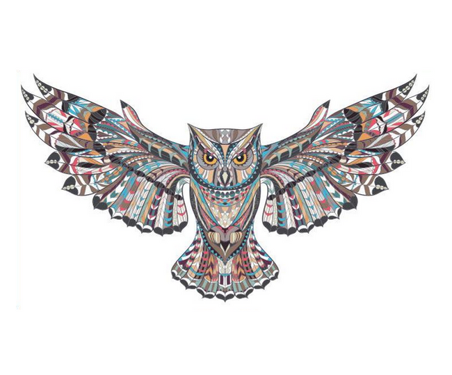 Samolepka Owl 1