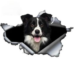 Nalepnica za auto Border collie