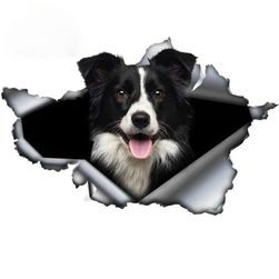 Автомобилен стикер Border collie