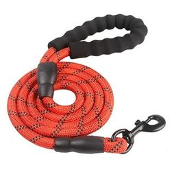 Leash Andy