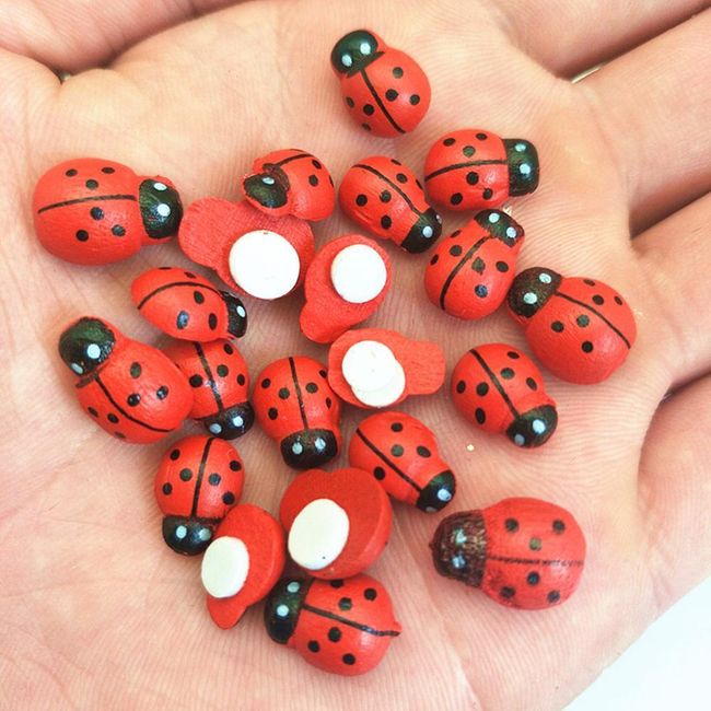 Dekorácie Ladybug 1