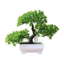 Sztuczne bonsai Broen