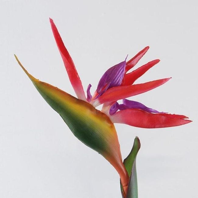 Umělá exotická květina - 3 barvy 1