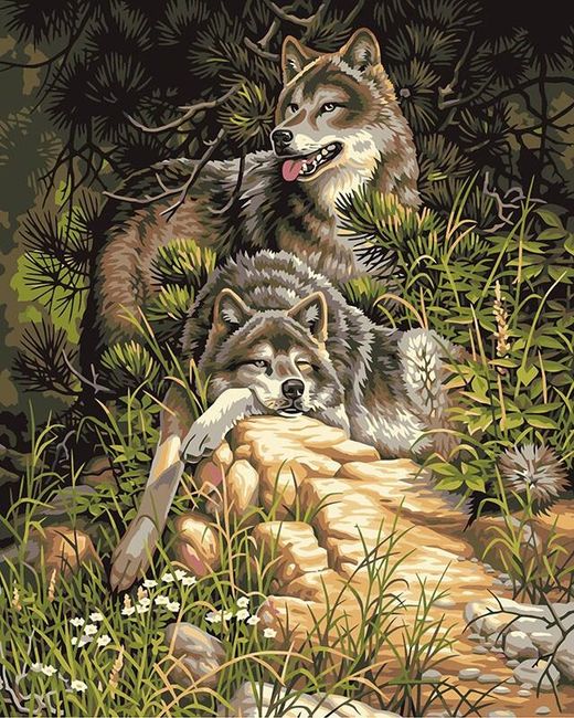 Obraz wilków - malowanie po numerach 1