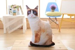 PLuszowy kotek 50 cm