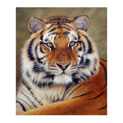 5D tigris festmény - 30 x 40 cm