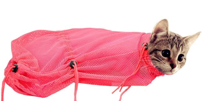 Мрежеста чанта за лесно пренасяне на котки - 3 цвята 1