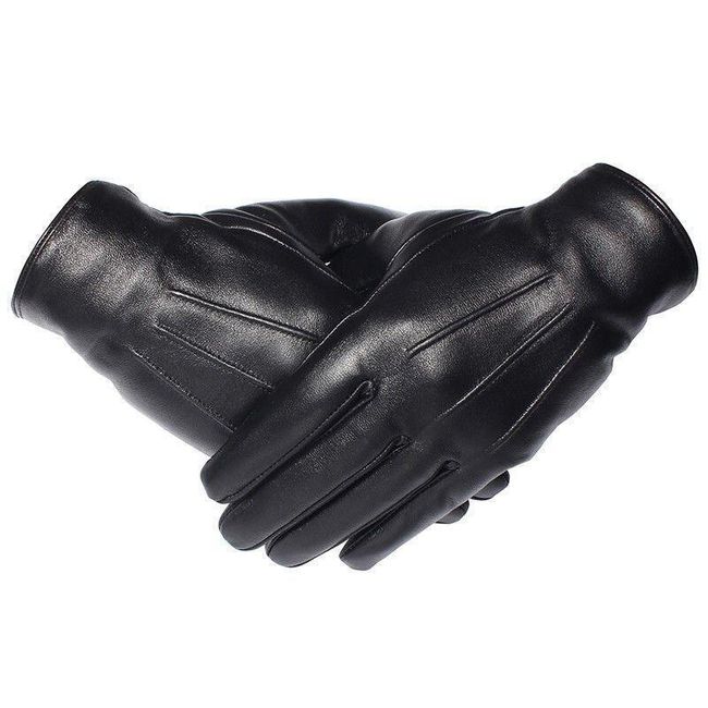 Мъжки ръкавици PR5 1