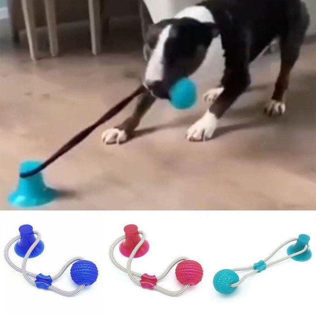 Interactive dog toy Chase 1