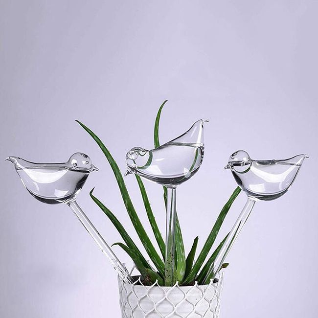 Automatic watering of plants Birdie 1