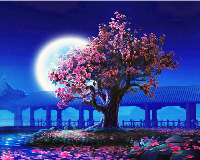 Sakura - Naslikaj sam  1