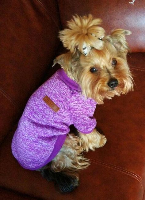 Пуловър за кученца в 13 цвята - 6 размера 1