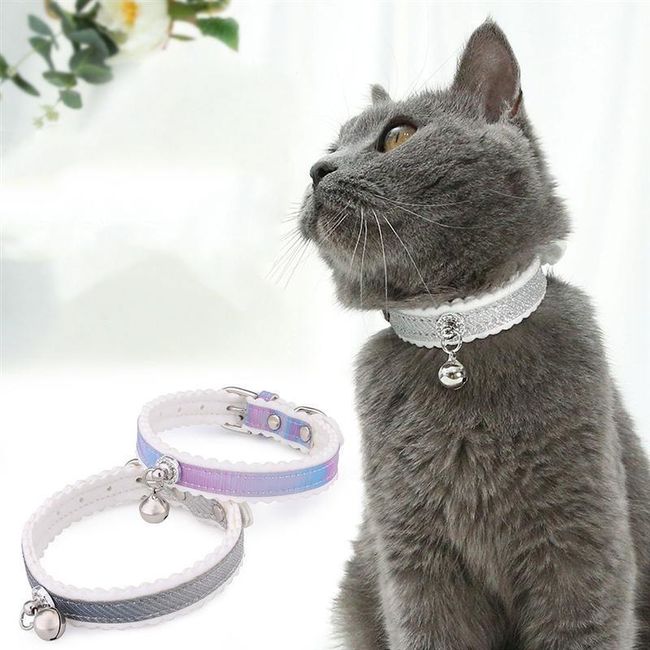 Cat collar TF3311 1