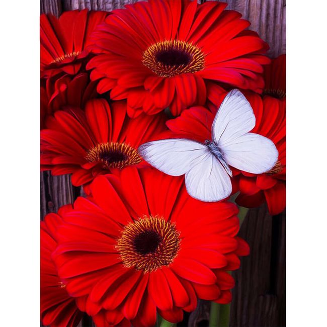 Imagine DIY cu pietre - flori de gerberă cu fluture 1