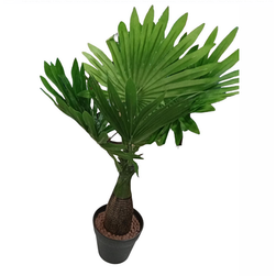 Plantă artificială în ghiveci 40cm - palmier ZO_272258