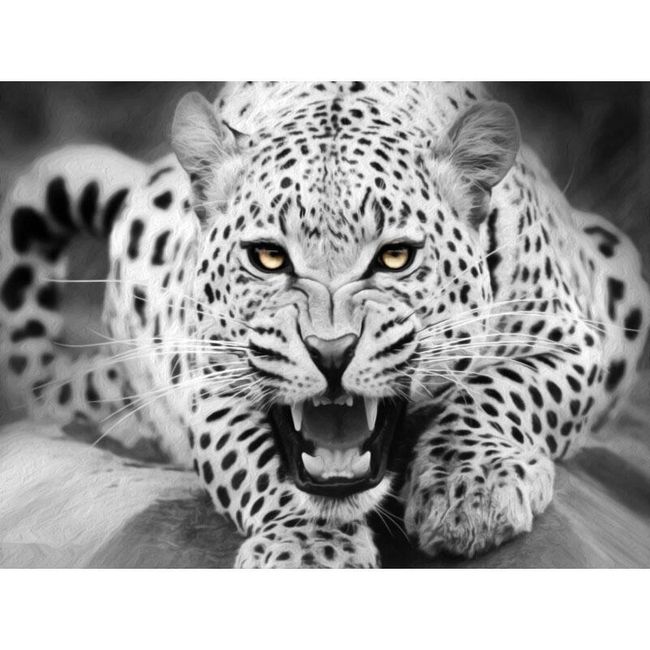DIY obraz s leopardem 1