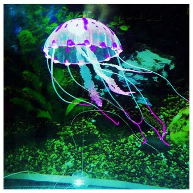 Dekoracija za akvarijum - meduza 1
