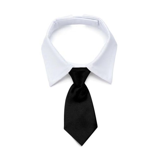Вратовръзка за кучета HG65 1