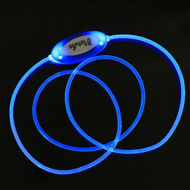 LED ogrlica za pse - 4 boje 1