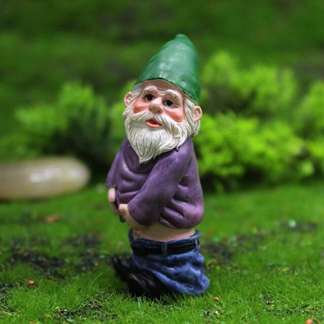 Декорация за градина Gnome 1