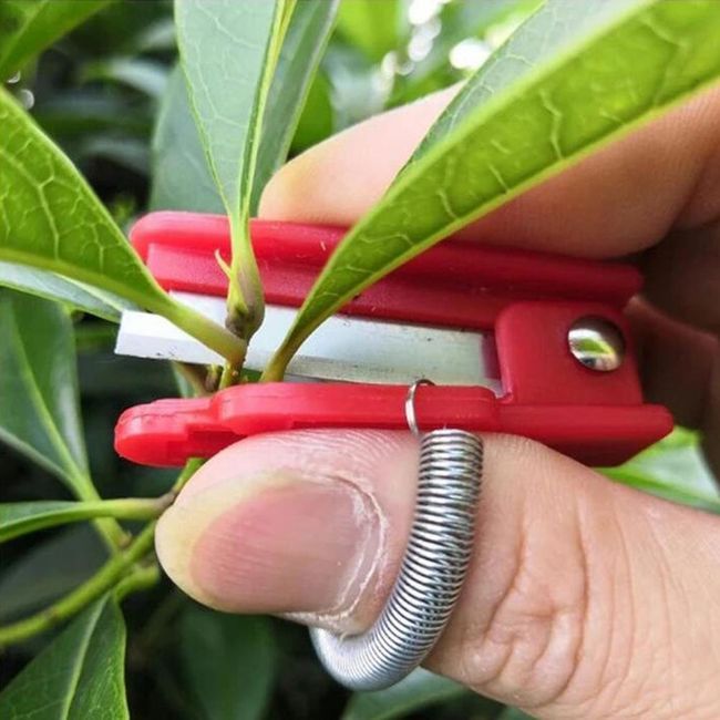 Horticultural thimble with a blade Gastore 1