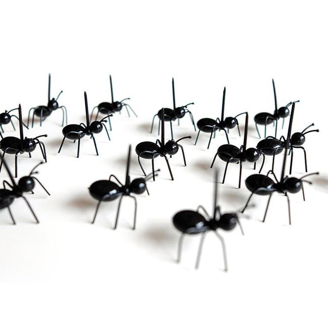 Клечки за храна - мравки 1