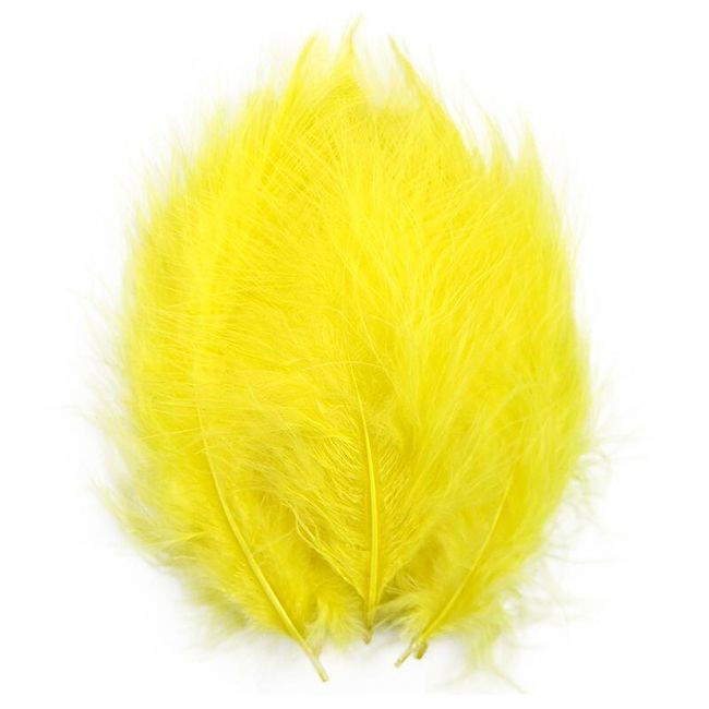 Colourful feathers C100 1