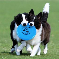 Frisbee din plastic pentru câini