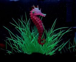Świecący konik morski do akwarium - 3 kolory