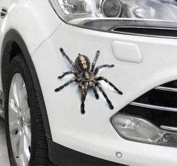 3D-s autó matrica Spider