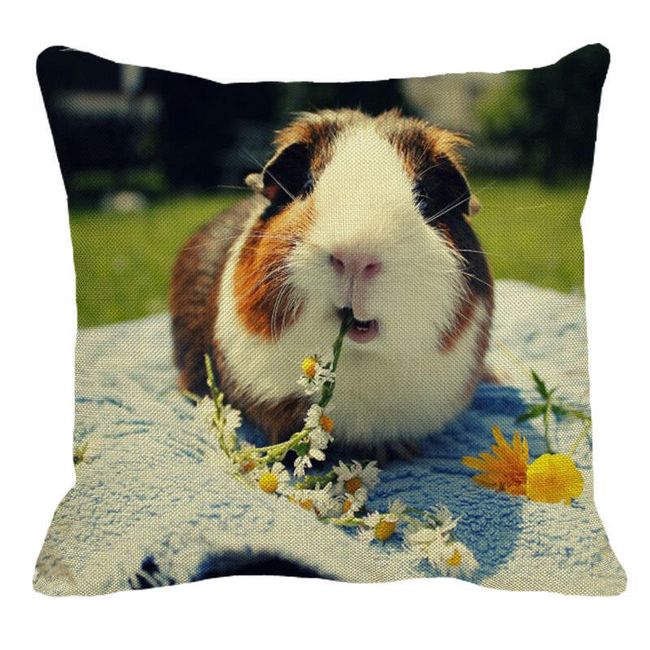Pillow cover B0291 1