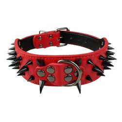 Dog collar DP100