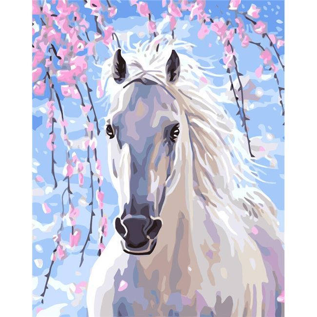 Malování podle čísel - bílý kůň 1